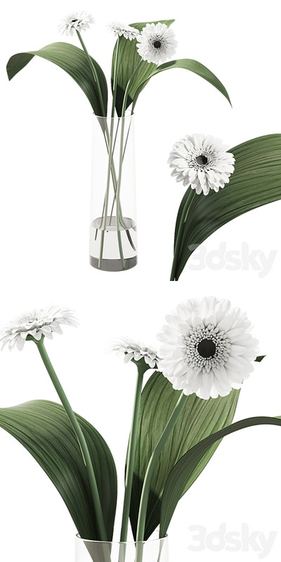 021 Flowers and leaves in vase indoor decor plant